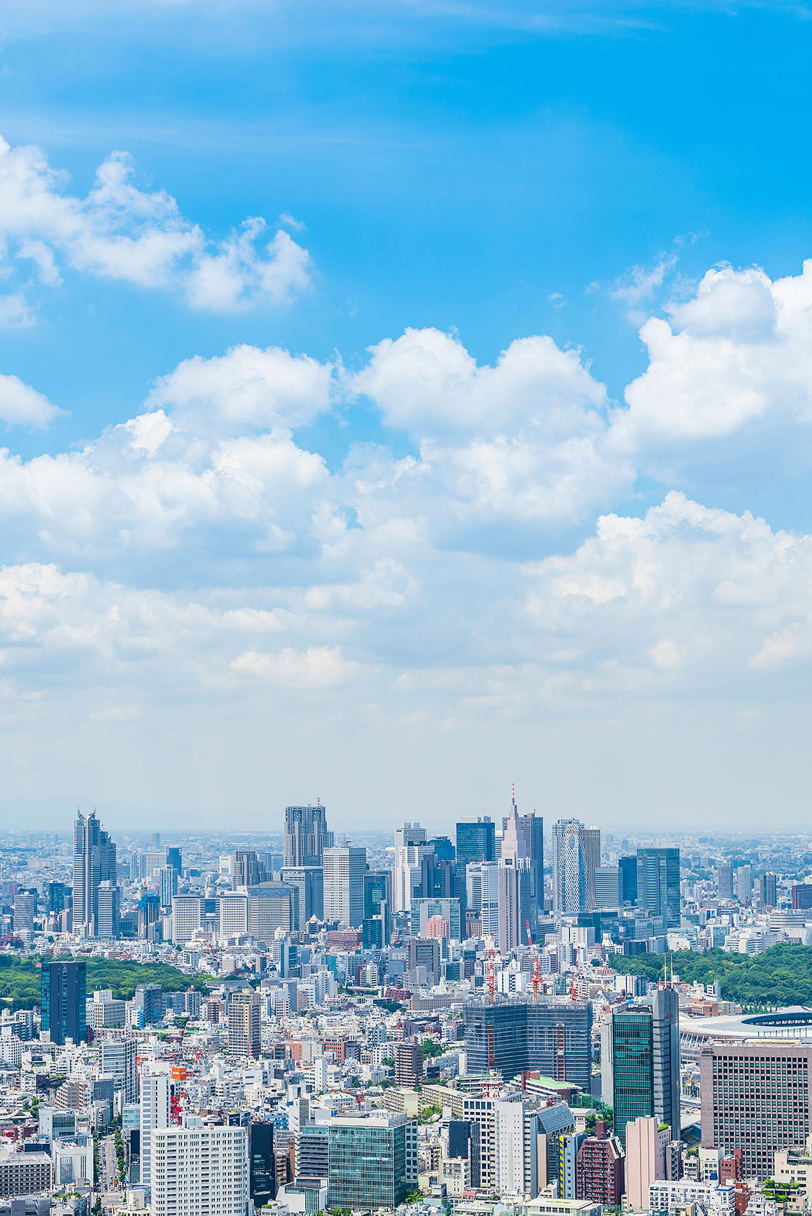 ライフサポートジャパン 風景写真